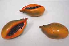 Papaya